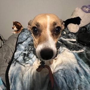 Meet your Posher, Jaylen